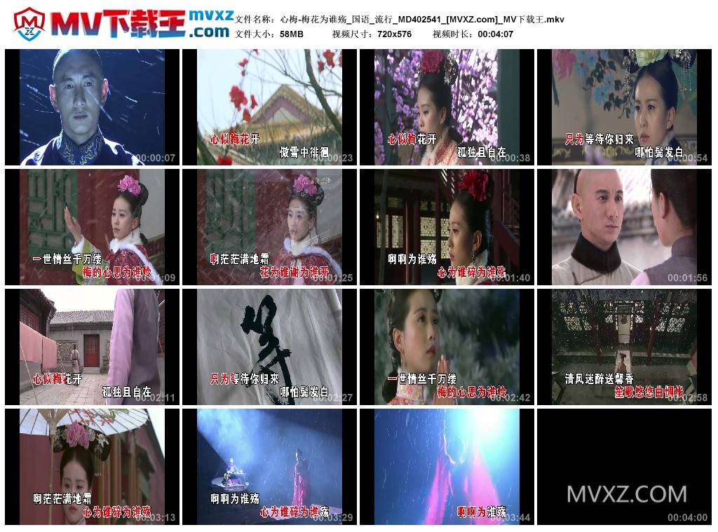 心梅-梅花为谁殇_国语_流行_MD402541